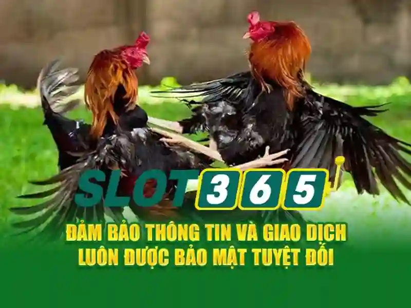 Tính năng nổi bật