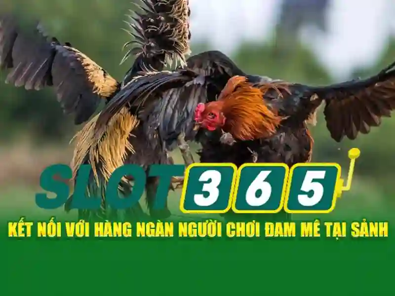 code Slot365 mới nhất: Trải nghiệm và đánh giá tổng quan