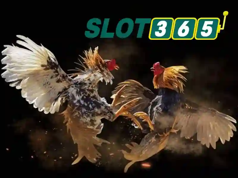 phiên bản mới Slot365: trải nghiệm tối ưu và an toàn