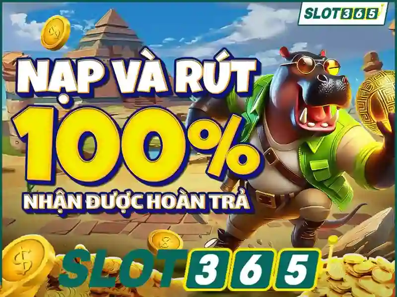 Slot365: Nền tảng cá cược slot trực tuyến đáng tin cậy