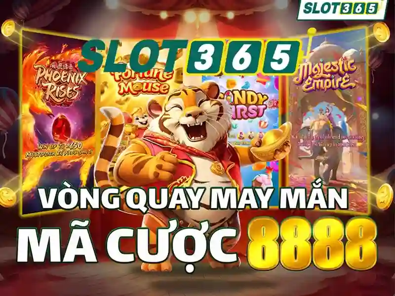 rtp slot365 – Trải nghiệm người dùng và phản hồi cộng đồng