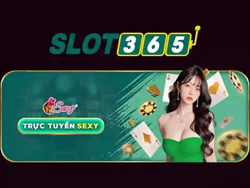 Tiện ích và trải nghiệm người dùng