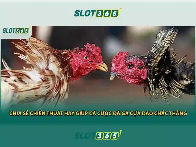 Giao diện và trải nghiệm người dùng<li style=