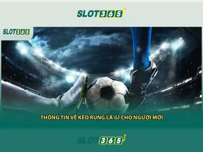 Đánh giá tổng quan và lời khuyên cho người mới