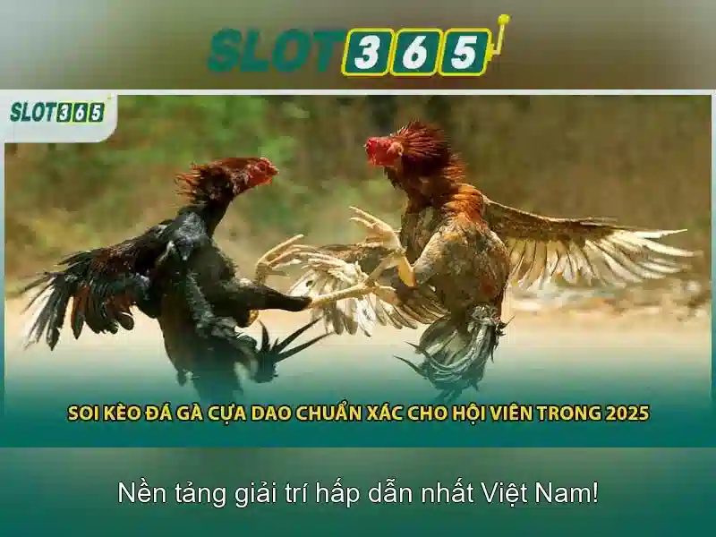 Khuyến mãi và lợi ích thành viên