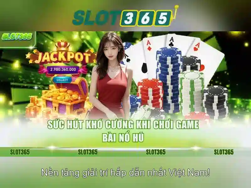 Hỗ trợ khách hàng và trải nghiệm di động