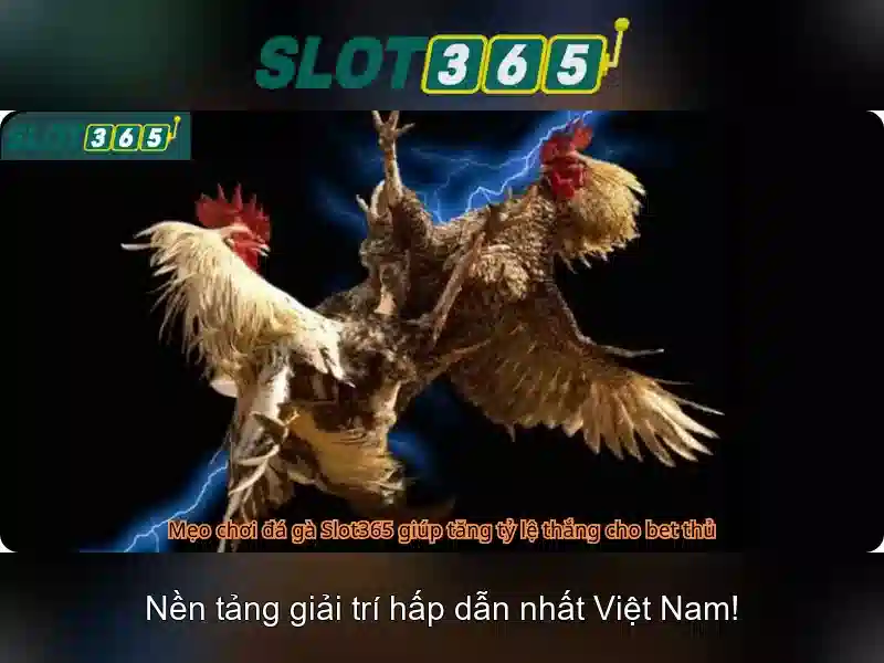 Slot365: Đánh giá nền tảng máy slot trực tuyến uy tín