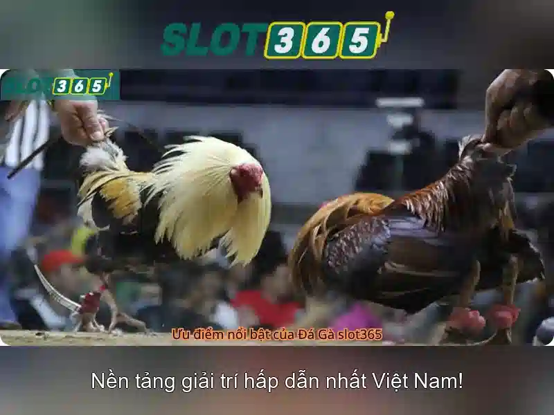 Slot365 là gì?