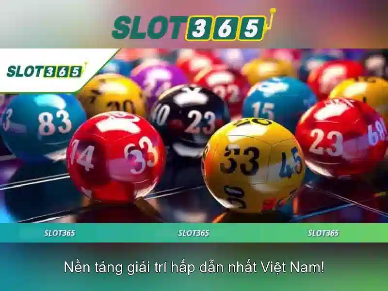 Trải nghiệm người dùng và giao diện