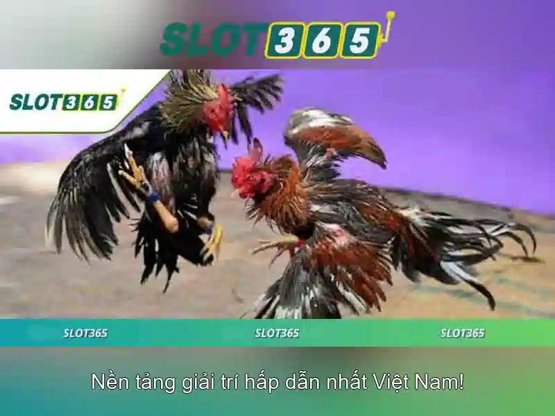 Slot365: Đánh giá nền tảng casino trực tuyến và trò chơi xèng