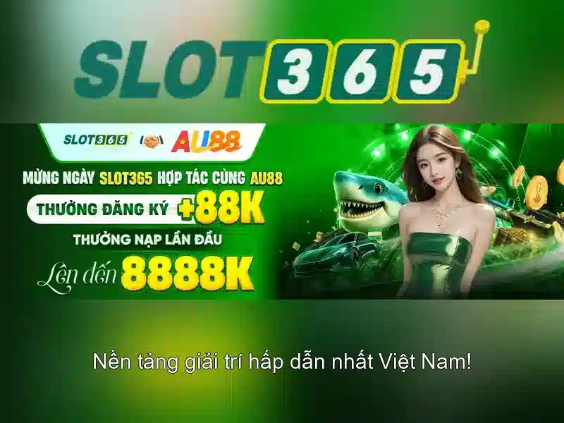 Trải nghiệm người dùng và phản hồi cộng đồng