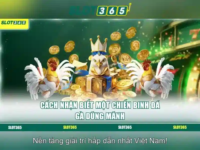 Tính năng an toàn và thanh toán