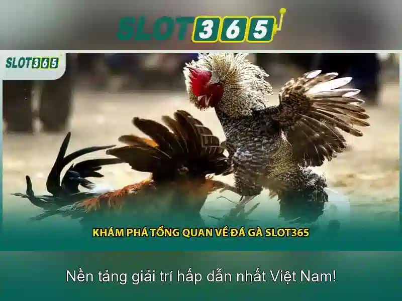 Trải nghiệm người dùng và hỗ trợ