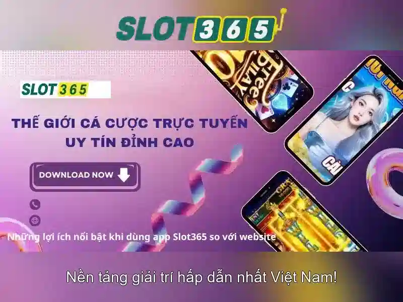 'Tính năng và trải nghiệm người dùng'
