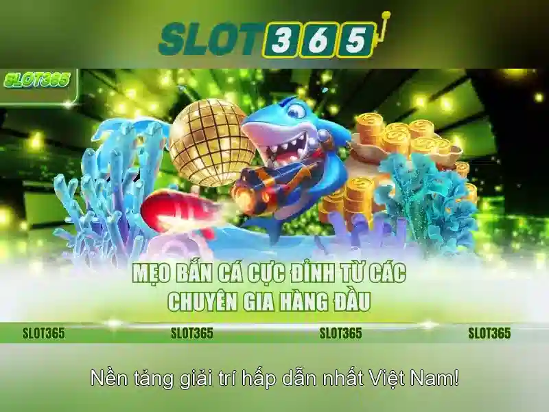 Slot365: Đánh giá nền tảng máy đánh bạc trực tuyến