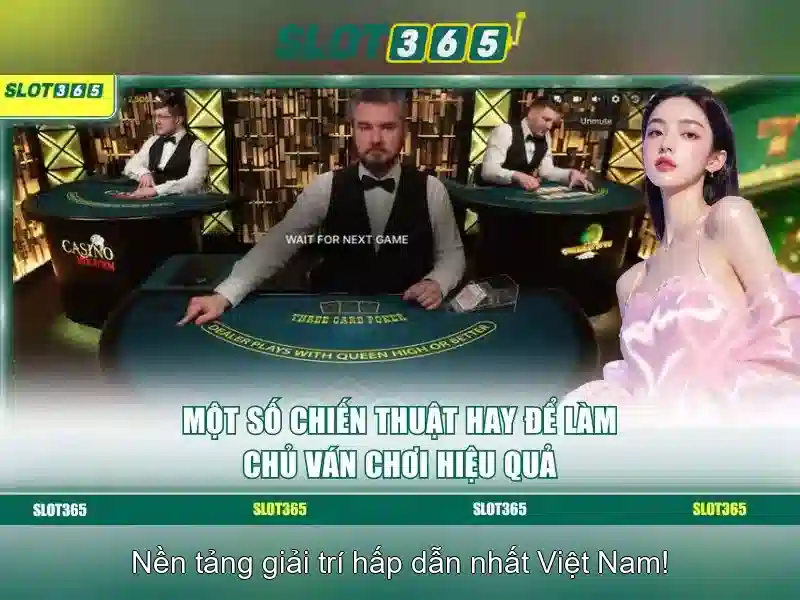 Slot365: Đánh giá và hướng dẫn tổng quan