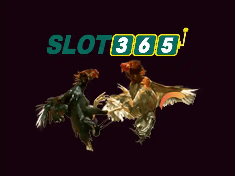 slot365 là gì – Khám phá game và đăng ký Slot365