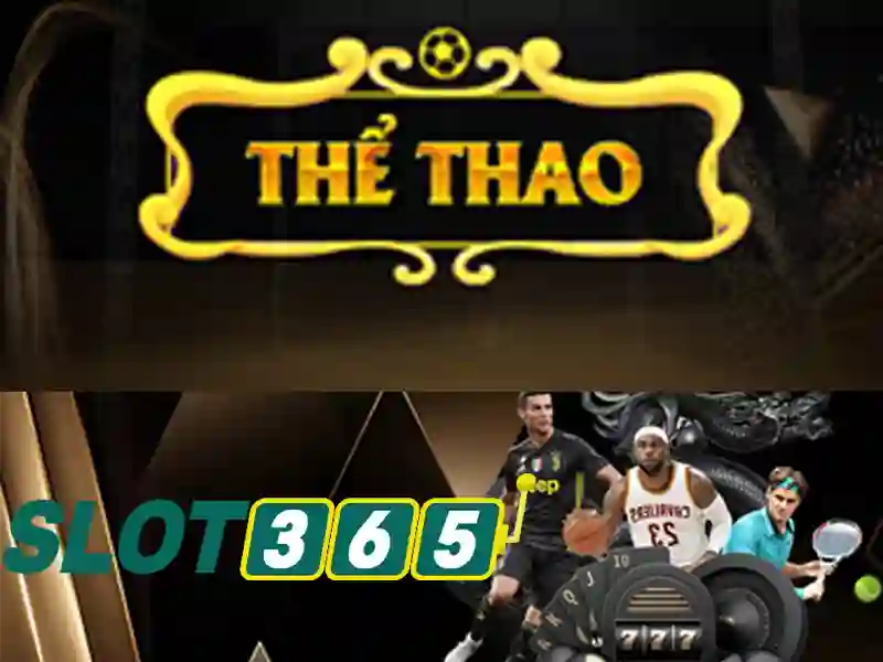 Slot365 - Đánh giá nền tảng trò chơi slot trực tuyến