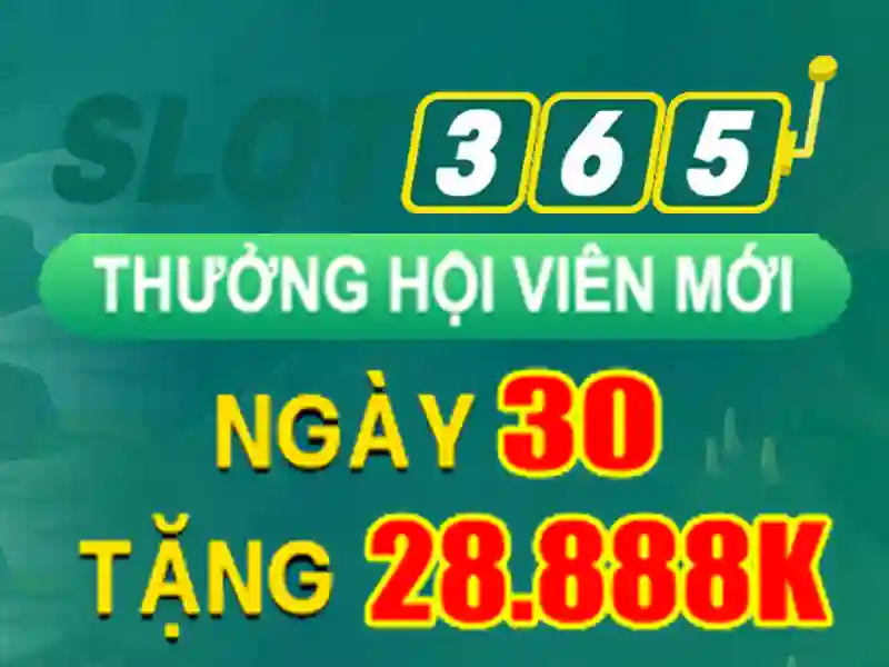 slot365 ios – Trải nghiệm người dùng và phản hồi cộng đồng
