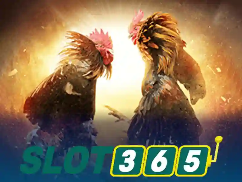 đăng nhập Slot365 an toàn và dễ dàng
