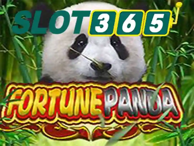 rút thưởng Slot365 – Mở khóa trải nghiệm đỉnh cao