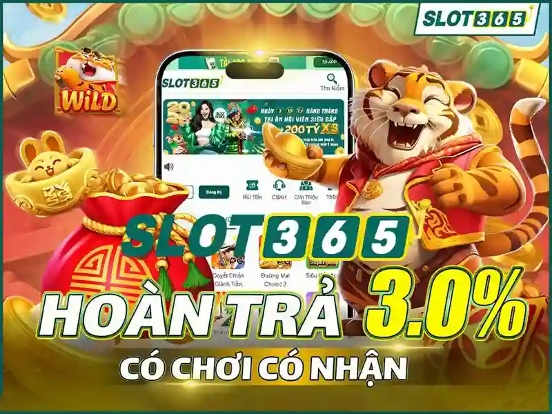 <!--IMG_PLACEHOLDER alt>Trải nghiệm người dùng và phản hồi từ cộng đồng-->