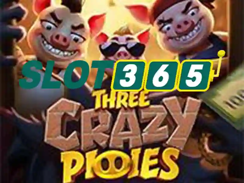 slot365 là gì – câu trả lời đầy đủ cho người quan tâm