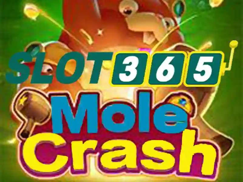 Slot365 và trải nghiệm chơi slot trực tuyến đáng tin cậy